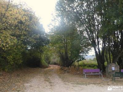 Hayedo La Pedrosa,mar de Robles; cerro de san vicente pantano de santillana mirador de las canchas r